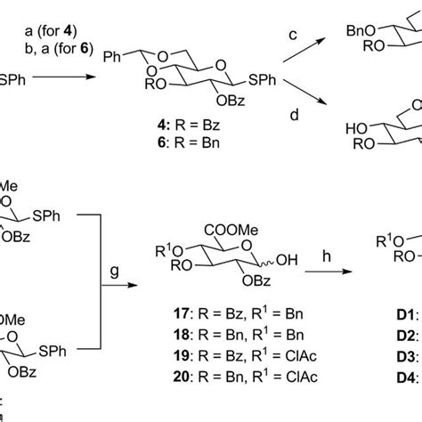 Synthesis Of Glycosyl Donors D D Reagents And Conditions A Bz O