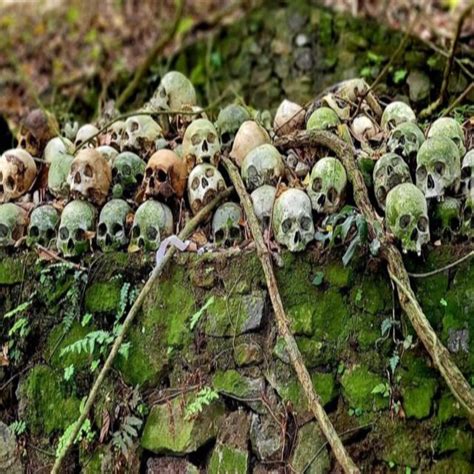 Private Tour Trunyan Village Skulls Island In Bali GetYourGuide