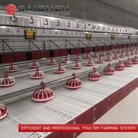 Poultry Automatic Feeder Chain Feeding System For Broiler And Breeder