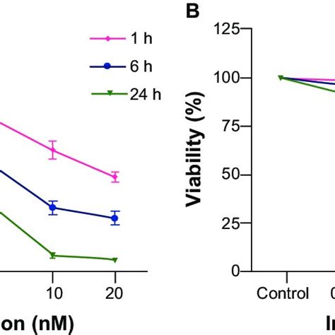 A Cell Viability Of Citrate IONP On HUVecs After 1 6 And 24 Hours