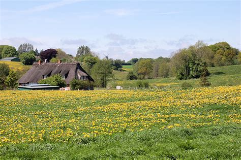 Landschaft Angeln Der Urlaubär unterwegs