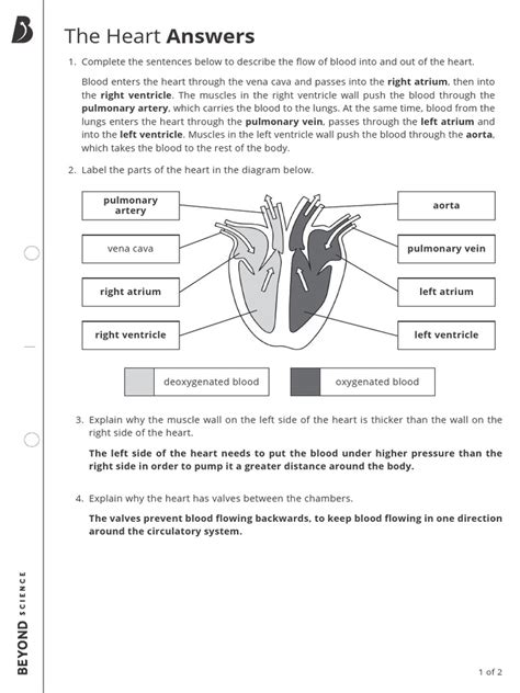 The Heart Worksheet Answers
