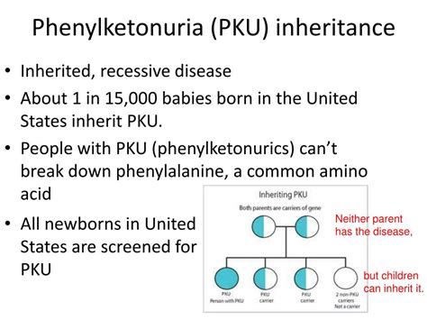 Ppt Phenylketonuria Pku Screening Powerpoint Presentation Free