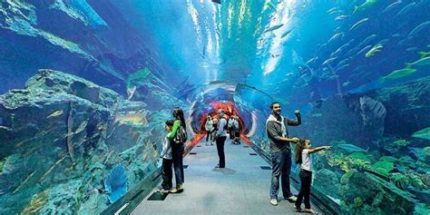 Dubai Aquarium The Largest Aquarium In The World The Ultimate Travel