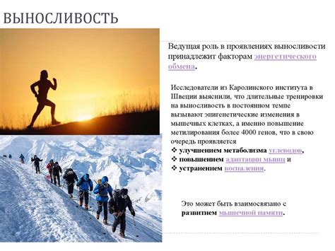 Сила. Выносливость. Физические качества. Лекция 3-4 - презентация онлайн
