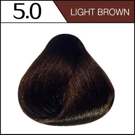 Bremod Hair Color Colour Oxidizing Cream 100 Ml Fashion Color BR R301 Black Brown Blonde