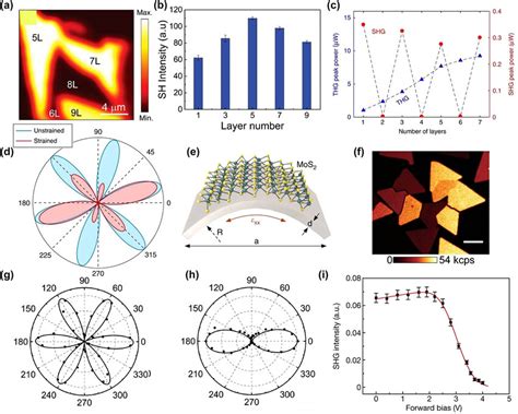 Layer Phase And Mechanical Tuning Of HG In TMDs A SHG Spatial Map