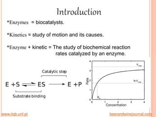 Enzyme Kinetics PPT