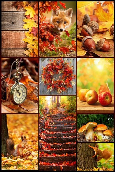 Autumn Magic Autumn Day Hello Autumn Autumn Leaves Autumn Song