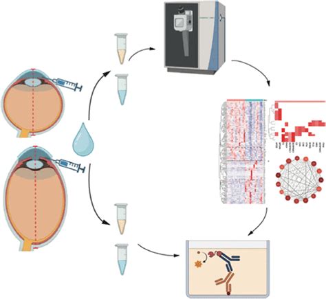 Comparative Proteomic Analysis Of Aqueous Humor Reveals Biochemical