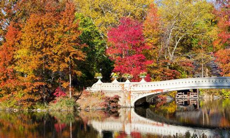 york  november      nyc november  edition