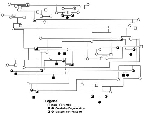 Pedigree map demonstrating dog A to be the closest common ancestor to ...