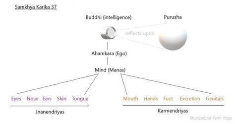 Samkhya Karika 37 explains the two functions of Buddhi for Purusha and ...