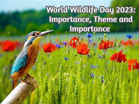 World Wildlife Day 2023 History Significance Theme Date Nativeplanet