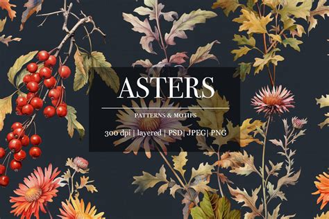 Aster Flowers Autumn Pattern Design - Design Cuts