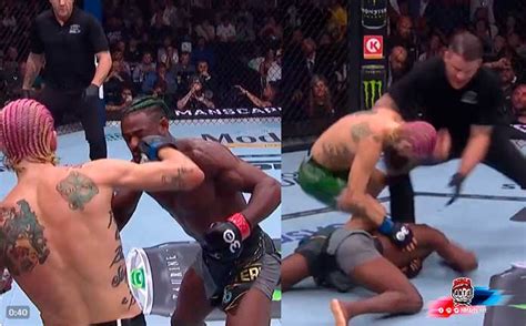 Brutal Sean Omalley Noquea A Aljamain Sterling En El Ufc Y Pide