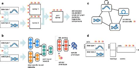 Statistical Single Cell Multi Omics Integration Semantic Scholar