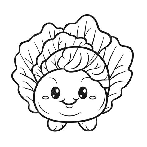 Cute Cabbage Coloring Pages Outline Sketch Drawing Vector Wing Drawing