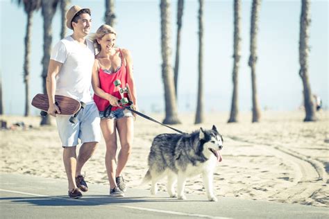 The Best Dog Parks in Los Angeles: The Definitive List - Great Pet Living