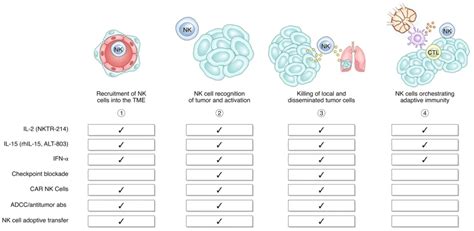 Nature Immunology综述 NK细胞 癌症循环NK细胞免疫治疗的进展和新挑战 癌症123