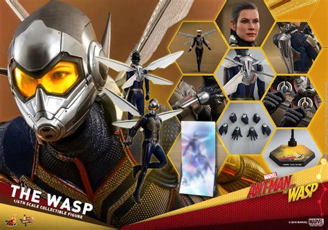 AF News Hot Toys Ant Man And The Wasp Figures Fumetteria Inchiostro Tempera