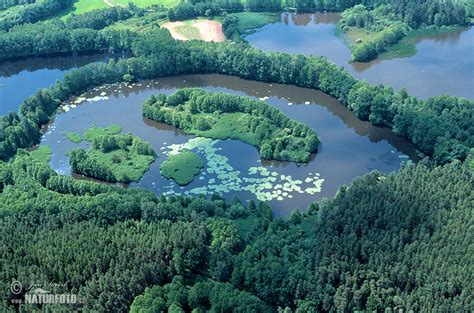 Smíchov Teich Bilder, Smíchov Teich Fotos | NaturFoto
