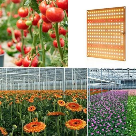 Lampe Horticole LED Croissance Floraison MIOLOE Panneau LED