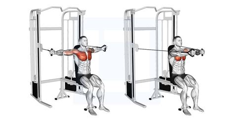 Cable Seated Chest Fly Chest Workouts Chest Fly Cable Workout