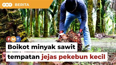 Boikot Minyak Sawit Tempatan Jejas Pekebun Kecil Kata Persatuan