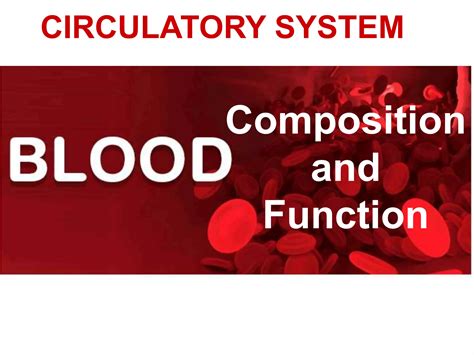 Blood Composition And Function PPT