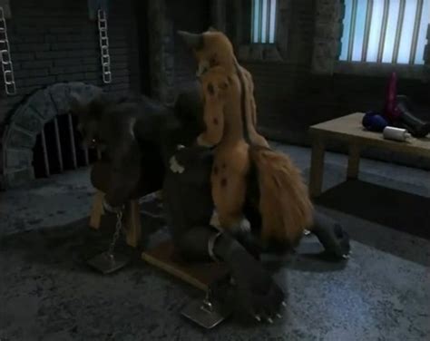 Furry D Anal ThisVid