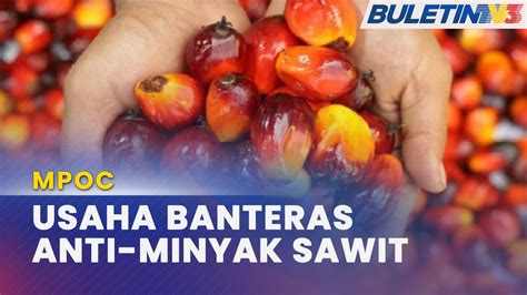 MPOC Label Tanpa Minyak Sawit Berisiko Jejas Industri Sawit Negara