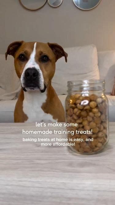 Dog training treats recipe – Artofit