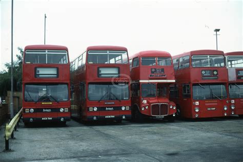 The Transport Library Rcr Bus D London Transport T