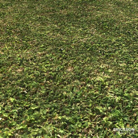 Artstation Grass Photogrammetry Based Environment Texture Resources