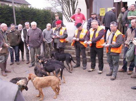 Lucenay Levêque Concours De Meutes Sur Sanglier