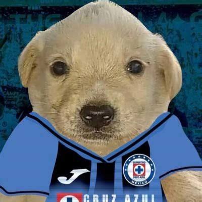 Perrito Cruz Azul Im Genes Del Cruz Azul Caras Divertidas De