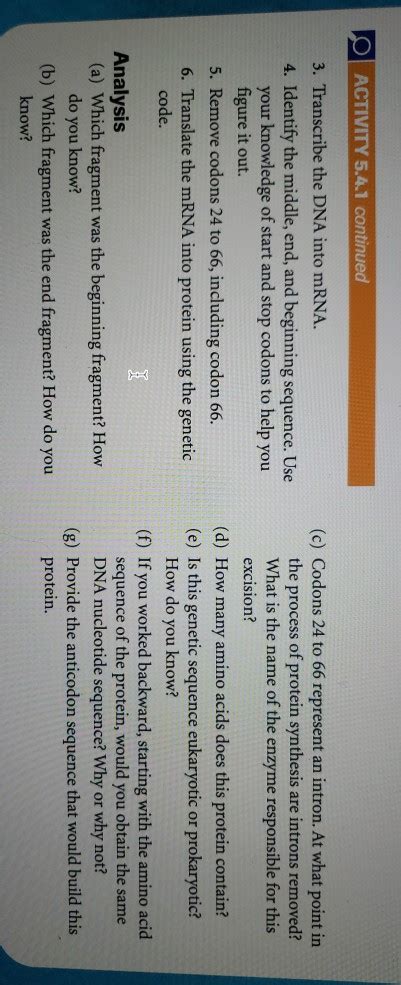 Solved O ACTIVITY 5.4.1 Synthesis of a Protein: A Simulation | Chegg.com 