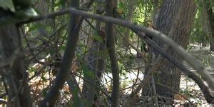 Peeping Tom Caught Blonde Masturbates Kate England Porn Videos
