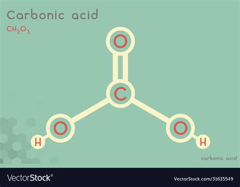 Infographic molecule carbonic acid Royalty Free Vector Image