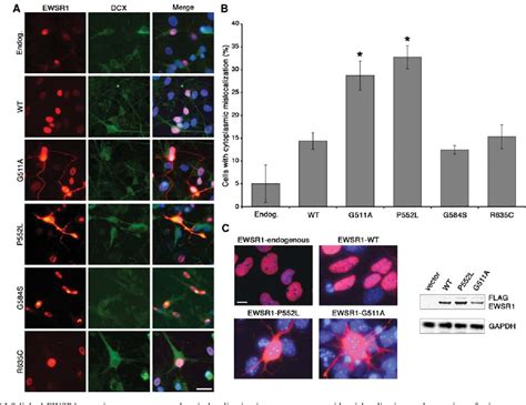 Figure From Evaluating The Role Of The Fus Tls Related Gene Ewsr In