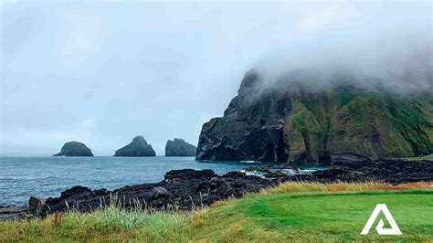 Vestmannaeyjar Island Volcanoes And Puffins Tour