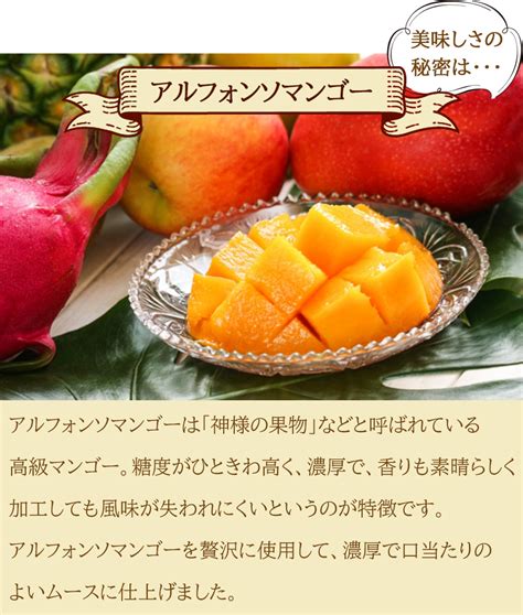 通販限定 送料無料 【le Jardin マンゴー】 デコレーションケーキ 誕生日ケーキ 記念日 アルフォンソマンゴー＆キャラメル ムース お