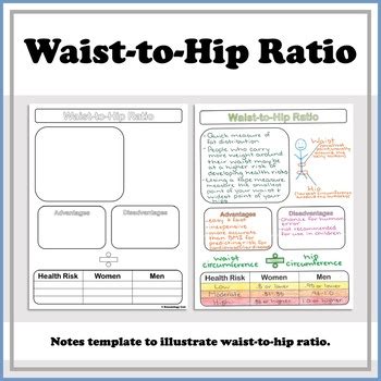 Waist To Hip Ratio Notes By Kinesiology Cait TPT