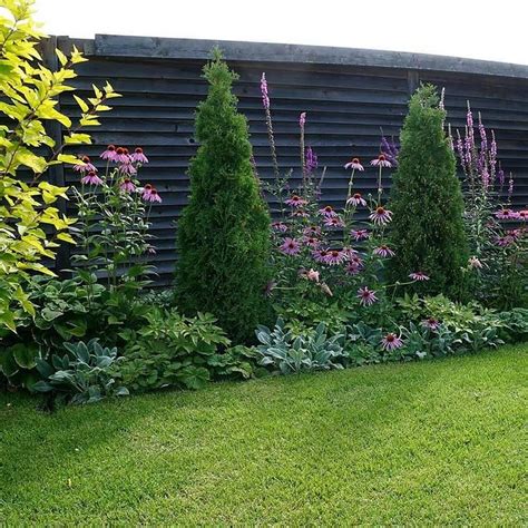 Что посадить вдоль забора на даче: цветы, кустарники, деревья | Garden ...