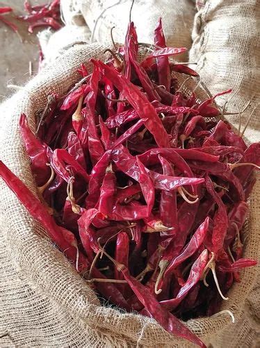Wonder Hot Chilli At Kg Red Chilli In Chennai ID