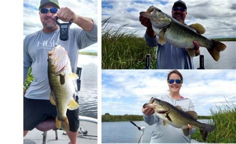 11 Lbs 6 Oz Bass On Headwaters Lake Fishing Guide Lake Okeechobee