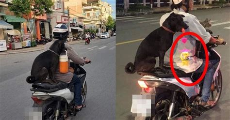 Ch Ch Hot Tr N Mxh S Ng Mang C P L Ng T I Mang N I Ch I Ng I Xe M Y D O Quanh Ph