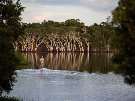 Lennox Head Camping - Book a Campsite | Reflections Holidays