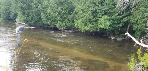 Fishing The Credit River A Perfect Drift